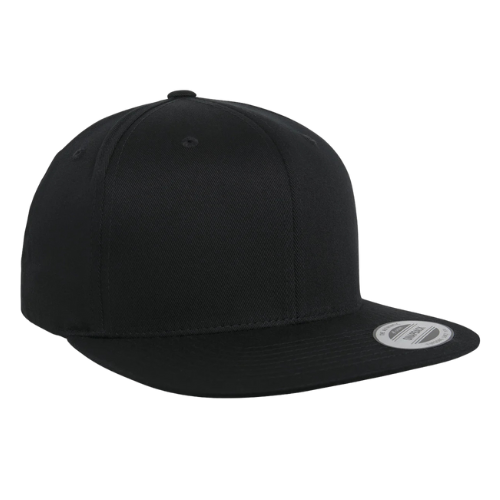 Organic Cotton Snapback